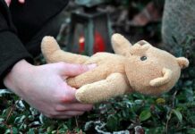 Hands holding a teddy bear near a grave