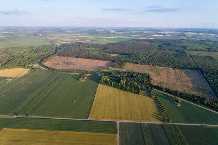 shutterstock_741709249 Aerial view of patchwork farmland and forest