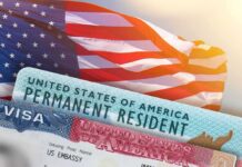 Visa Showdown: Trump Defies Brazil’s Court U.S. flag with visa and permanent resident cards